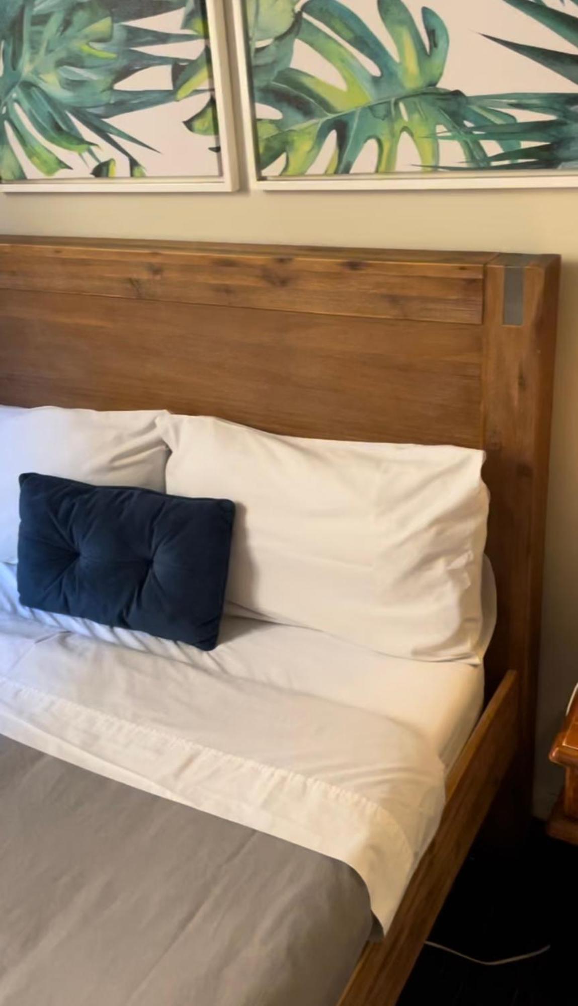 City Backpackers Hq Бризбейн Екстериор снимка